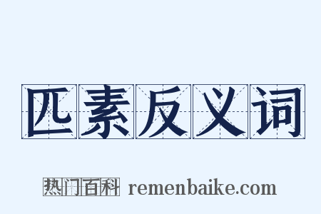 匹素反义词是什么意思的图片